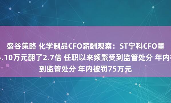 盛谷策略 化学制品CFO薪酬观察：ST宁科CFO董春香年薪45.10万元翻了2.7倍 任职以来频繁受到监管处分 年内被罚75万元