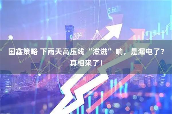 国鑫策略 下雨天高压线 “滋滋” 响，是漏电了？真相来了！