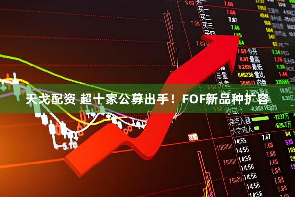天戈配资 超十家公募出手！FOF新品种扩容
