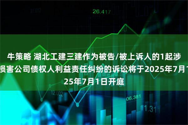 牛策略 湖北工建三建作为被告/被上诉人的1起涉及股东损害公司债权人利益责任纠纷的诉讼将于2025年7月1日开庭