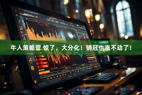 牛人策略营 惊了，大分化！销冠也涨不动了！